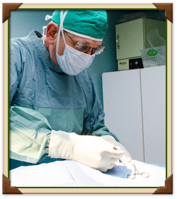 Manalapan Veterinary Surgery